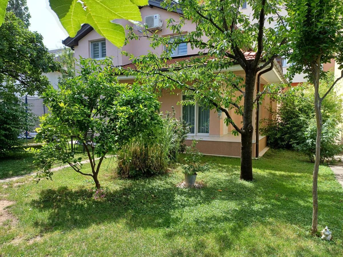 Villa Tamara With Garden And River View - Free Private Parking - Garage Mostar Eksteriør bilde